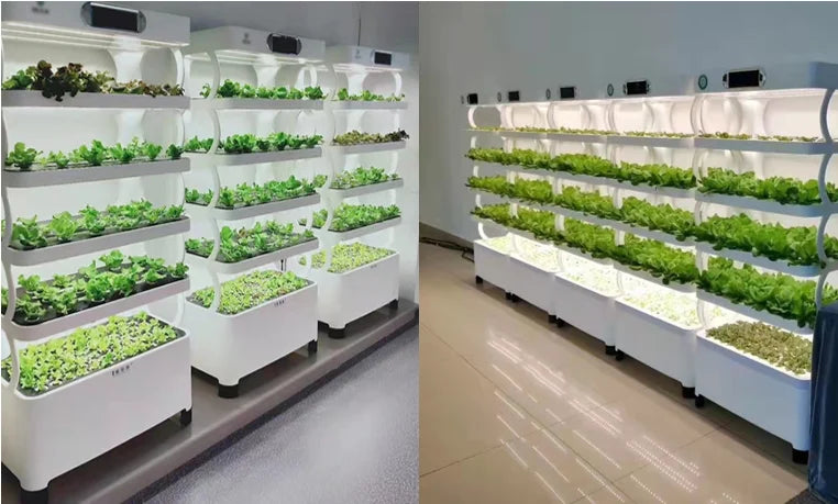 Indoor Garden Hydroponic Growing System – Aquaponic Vegetable Agricultural Machinery for Leafy Plant Cultivation