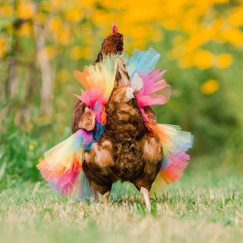 Chicken Tutu Costume - Adorable Hen Skirt for Halloween, Cosplay, Party Decorations & Poultry Protection