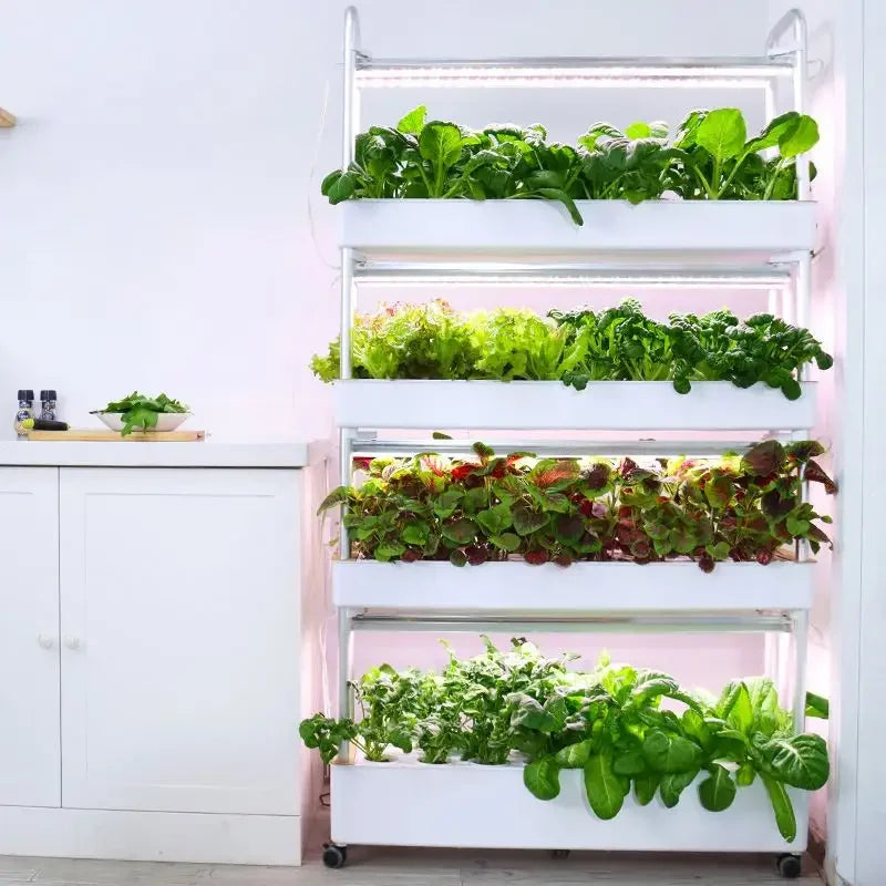 Indoor Garden Hydroponic Growing System – Aquaponic Vegetable Agricultural Machinery for Leafy Plant Cultivation