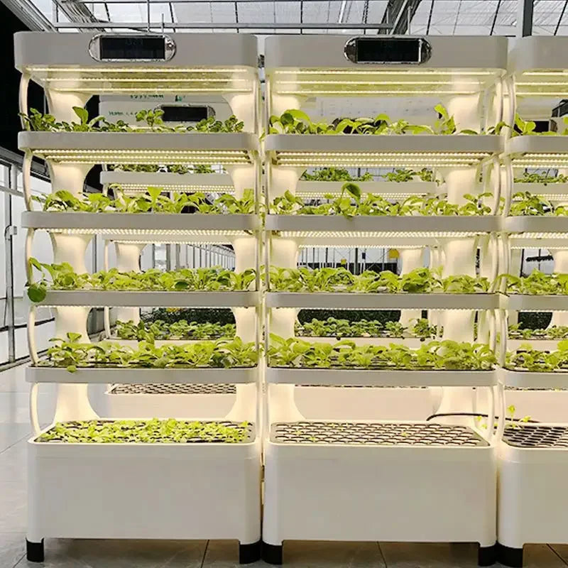 Indoor Garden Hydroponic Growing System – Aquaponic Vegetable Agricultural Machinery for Leafy Plant Cultivation