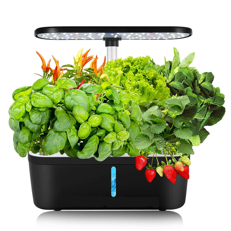 6-Plant Indoor Hydroponics System with LED Grow Lamp – Soilless Herb Planter Kit for Vegetables and Herbs – Black Planter Box