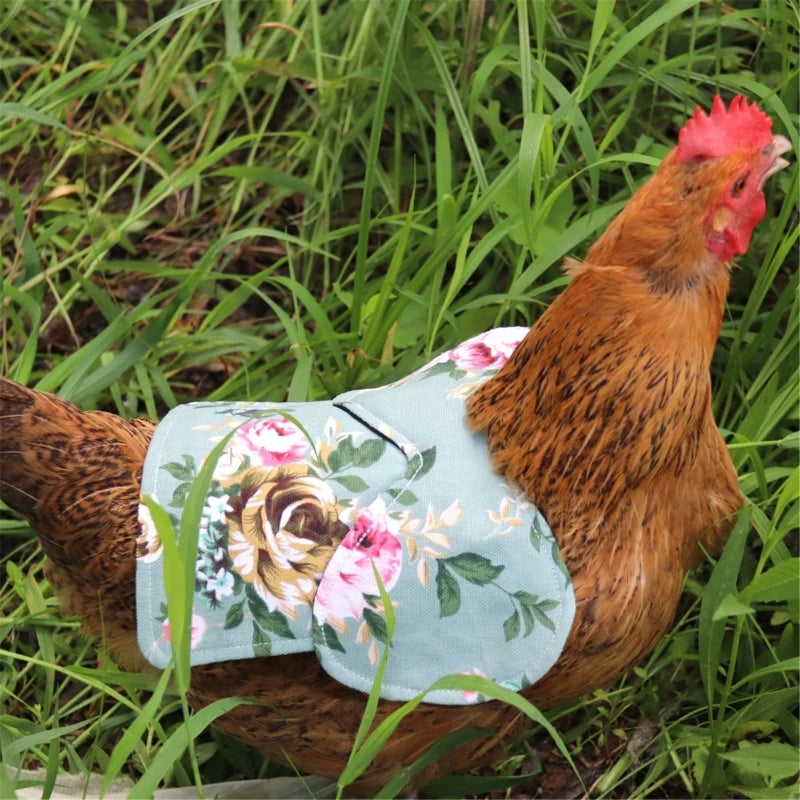 Chicken Saddle Hen Apron with Quilted Lining - Elastic Straps for Comfortable Poultry Feather Protection