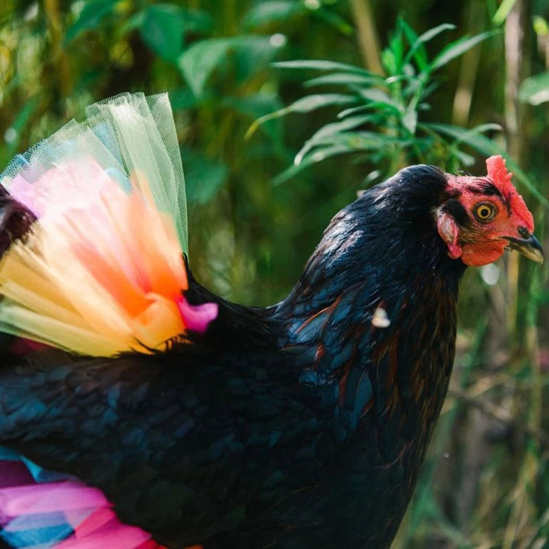 Chicken Tutu Costume - Adorable Hen Skirt for Halloween, Cosplay, Party Decorations & Poultry Protection