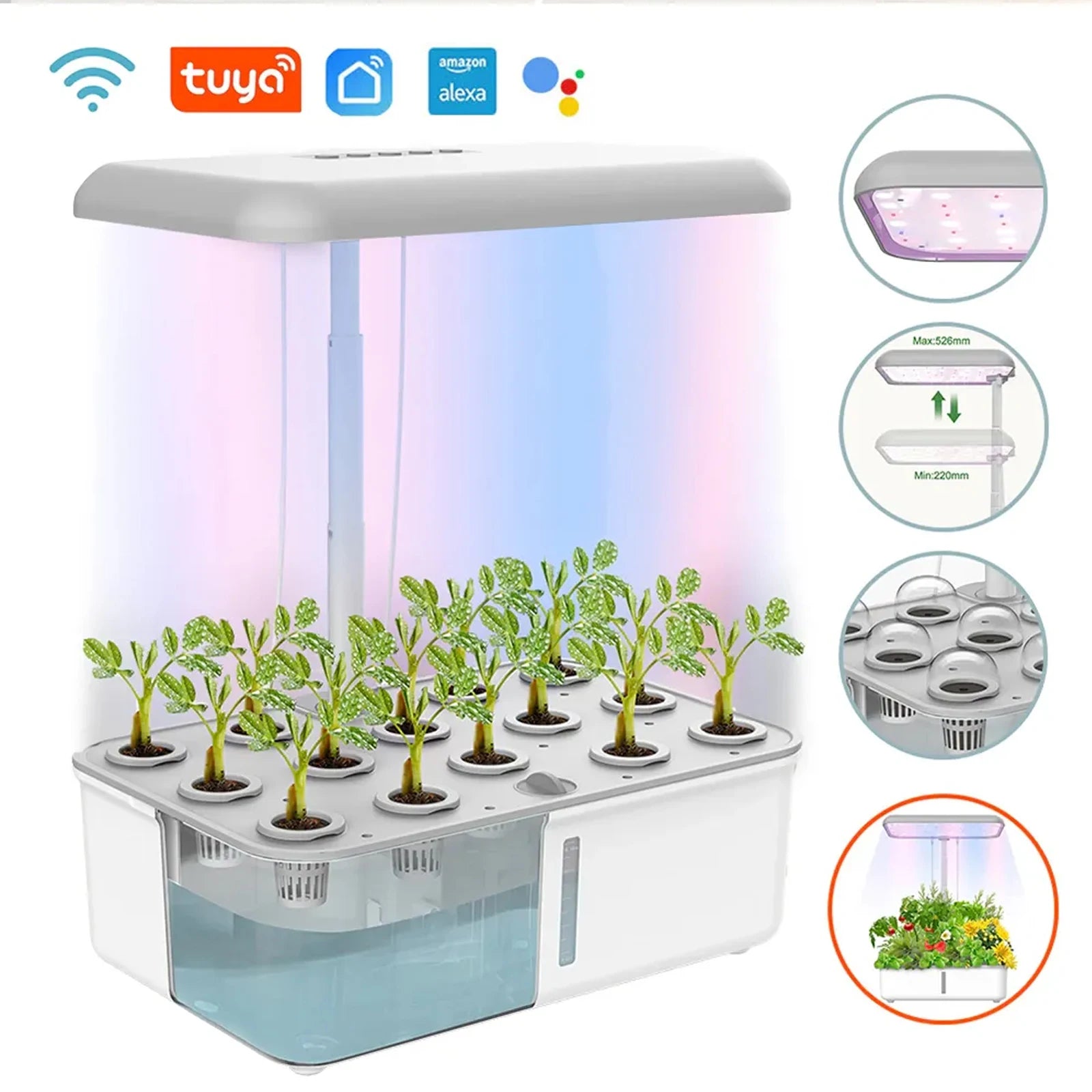 WiFi-Enabled Hydroponics System with LED Grow Light – Smart Soilless Self-Watering Indoor Gardening Planter for Home