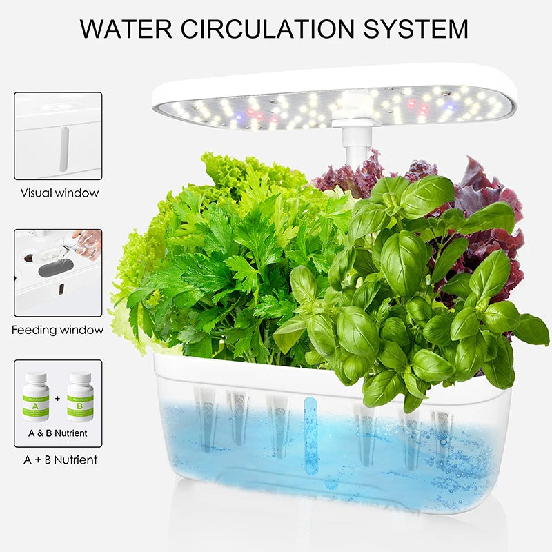 6-Plant Indoor Hydroponics System with LED Grow Lamp – Soilless Herb Planter Kit for Vegetables and Herbs – Black Planter Box